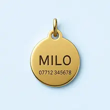 Personalised Engraved Pet Tag — Custom Name & Contact Details